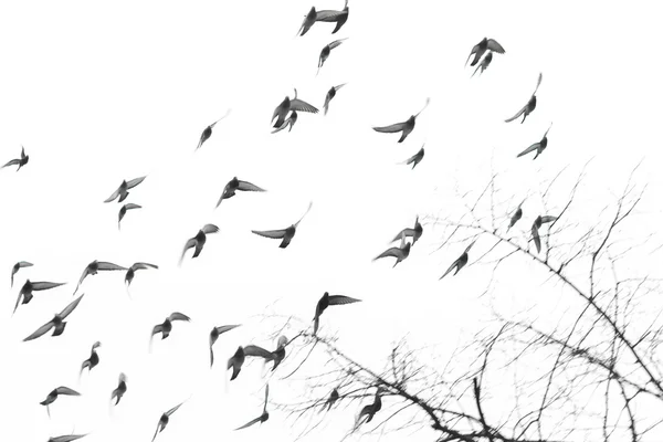 Sobre ‘Después’, mi primera novela (publicada)